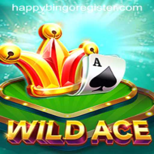 Exploring the Excitement of WildAce: The Happy Bingo Experience